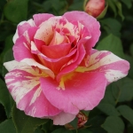 Claude Monet (Клод Моне)
